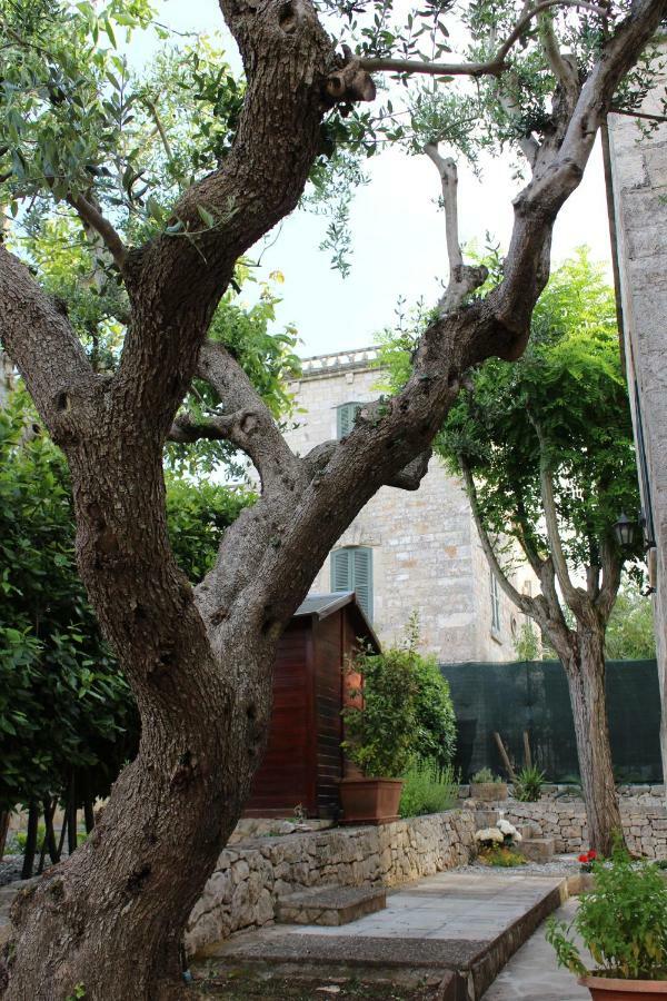 Domus Relax Bed & Breakfast Selva Di Fasano Luaran gambar